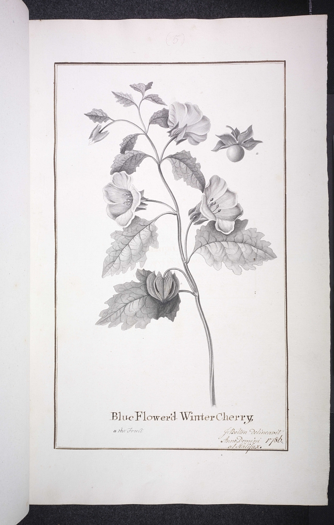 no HD illustration available (m5)