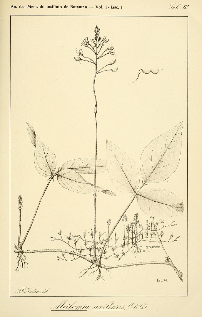no HD illustration available (m5)