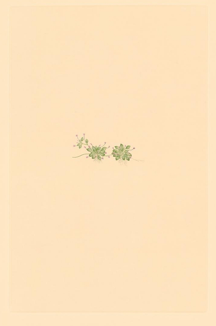 no HD illustration available (m1)