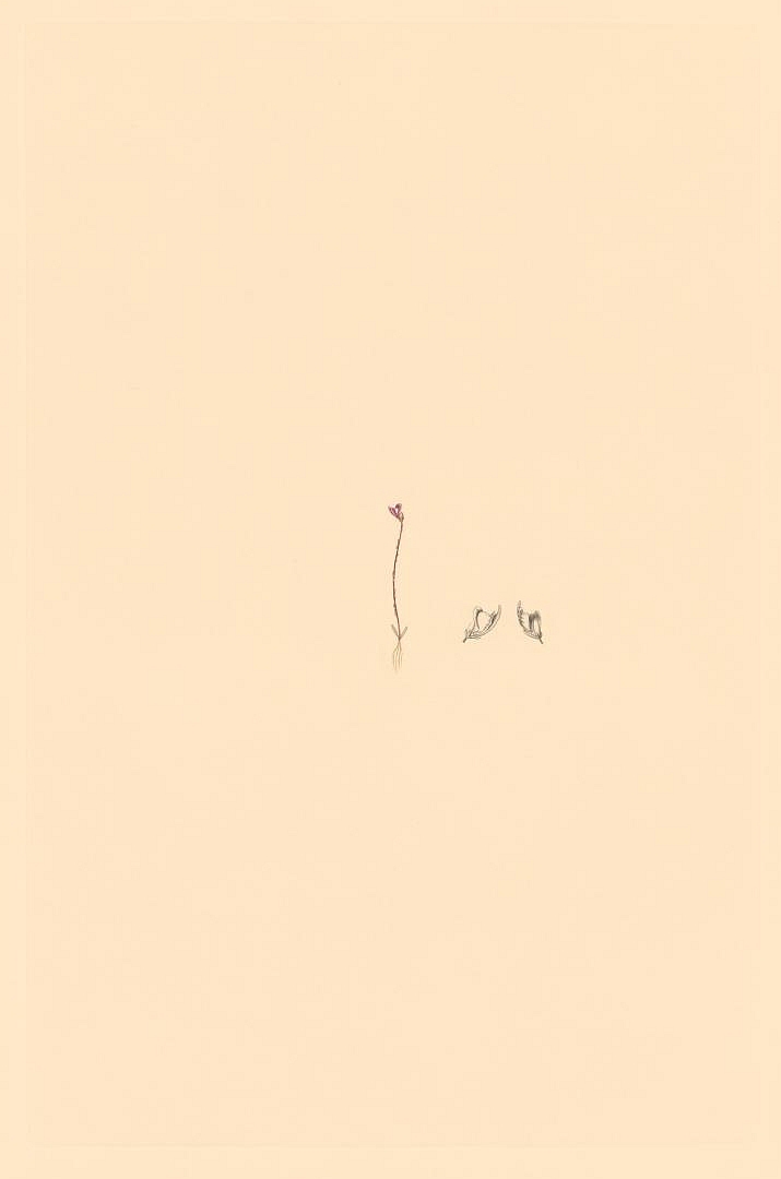 no HD illustration available (m5)