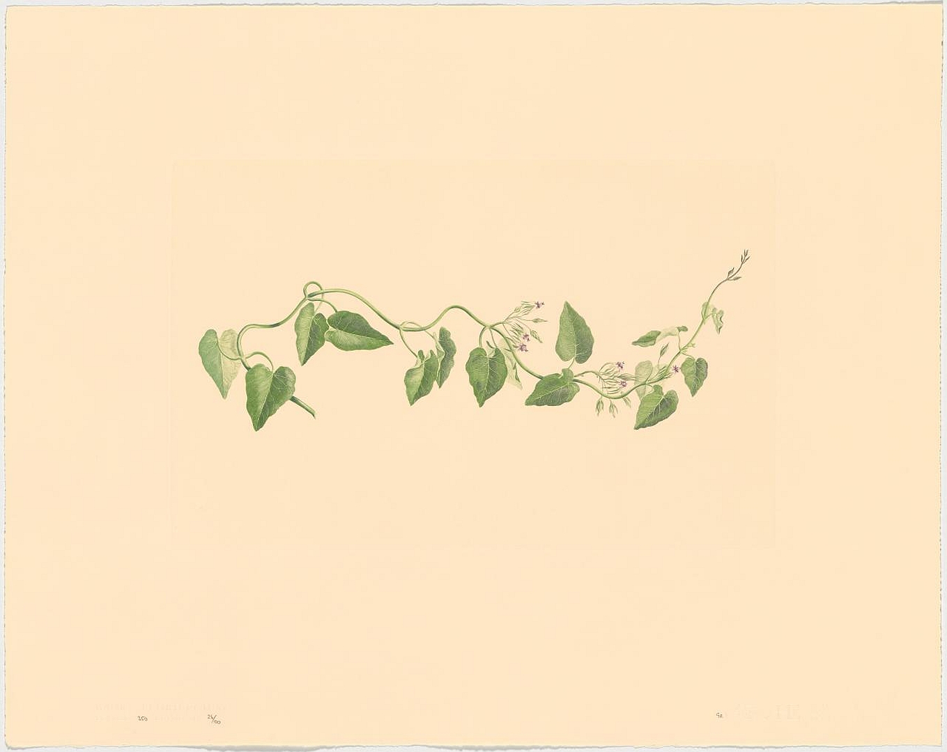 no HD illustration available (m2)