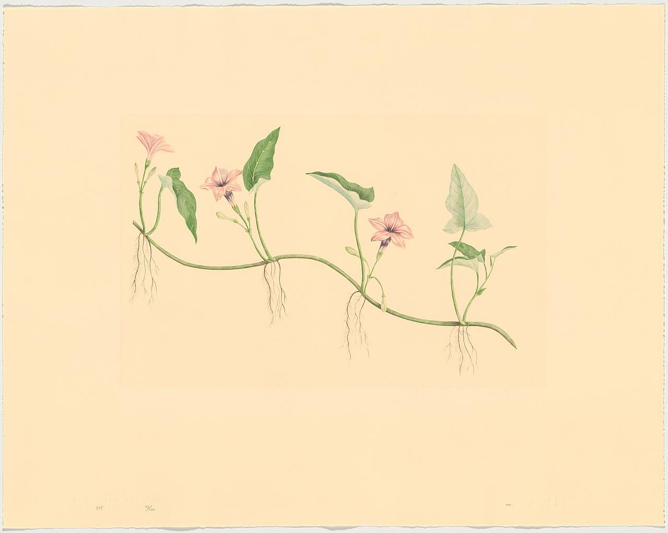 no HD illustration available (m5)