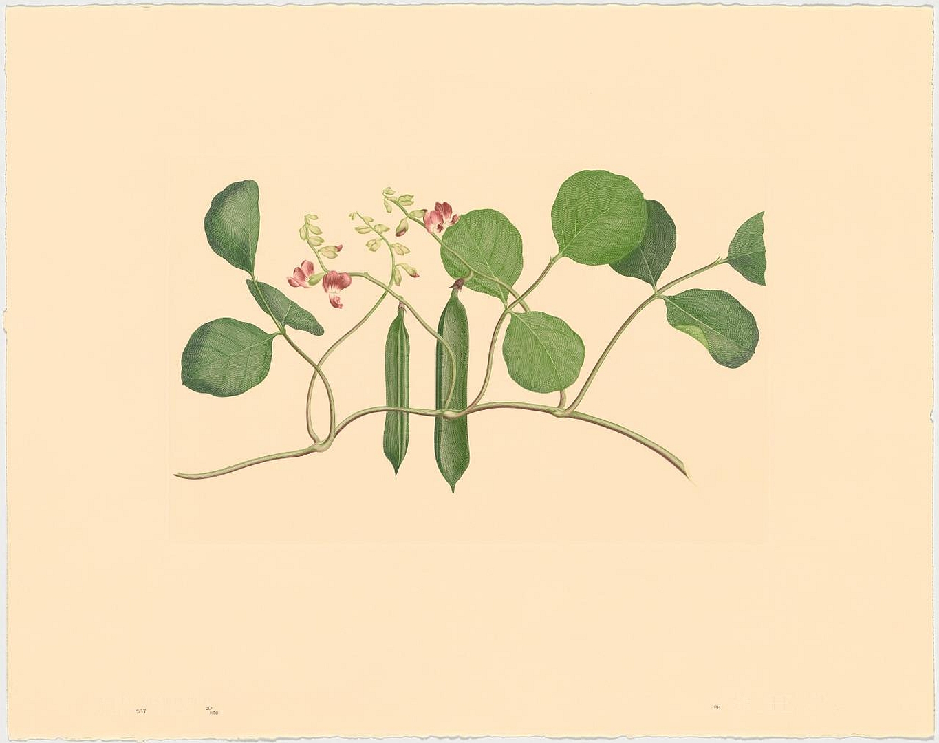 no HD illustration available (m5)