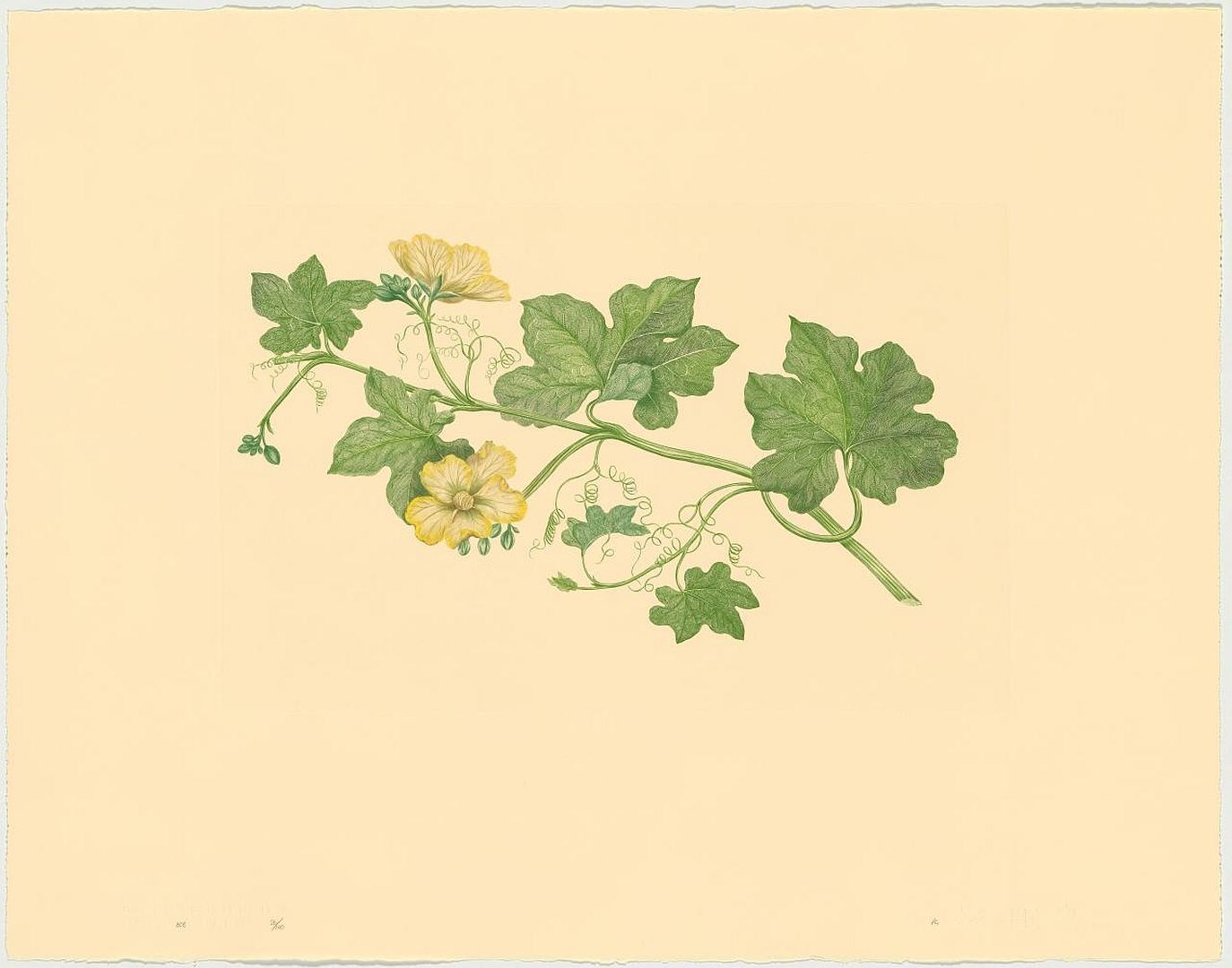 no HD illustration available (m2)