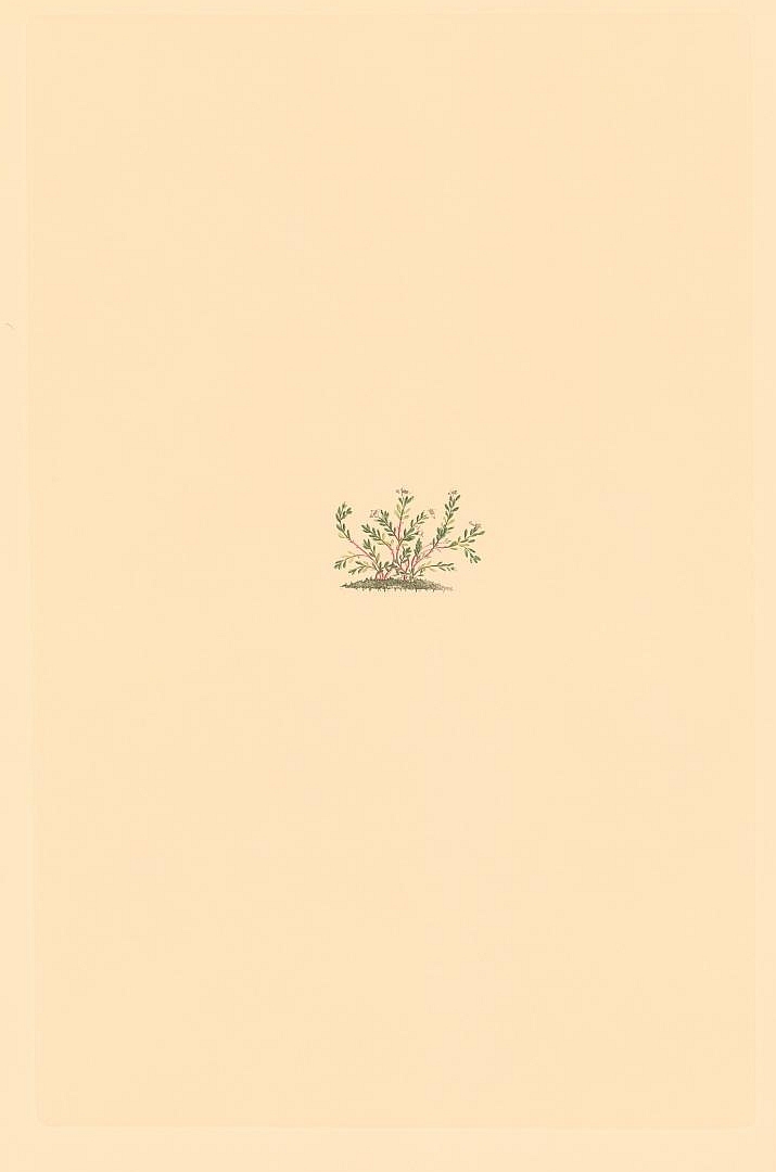 no HD illustration available (m5)