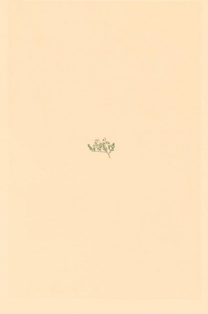 no HD illustration available (m5)