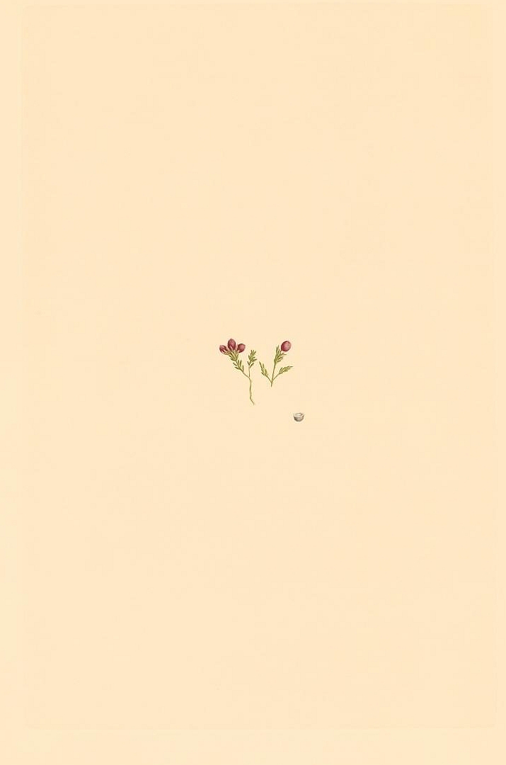 no HD illustration available (m5)