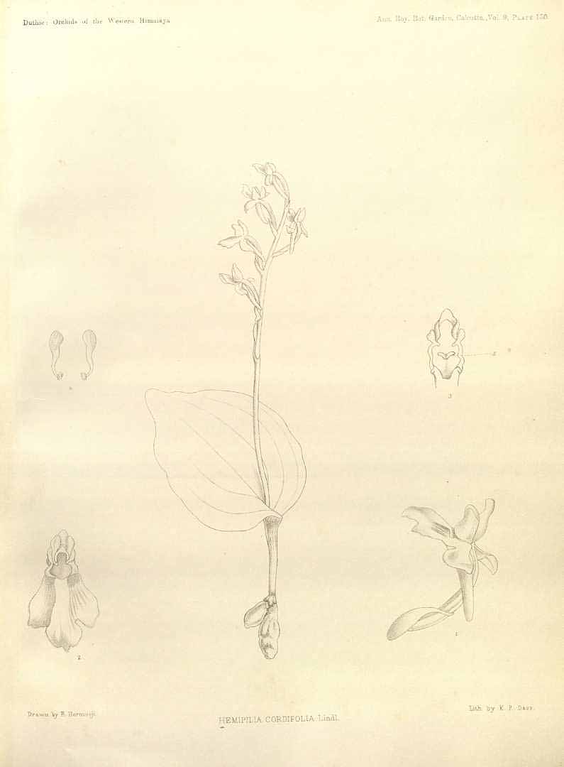 no HD illustration available (m5)