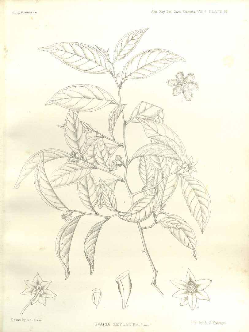 no HD illustration available (m5)