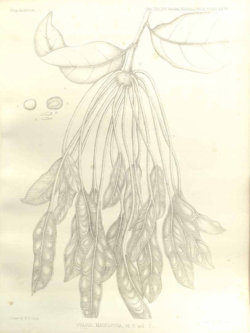 no HD illustration available (m5)
