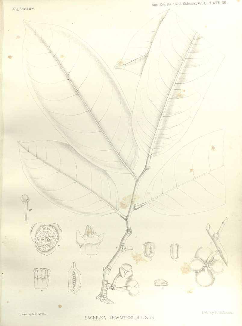 no HD illustration available (m5)