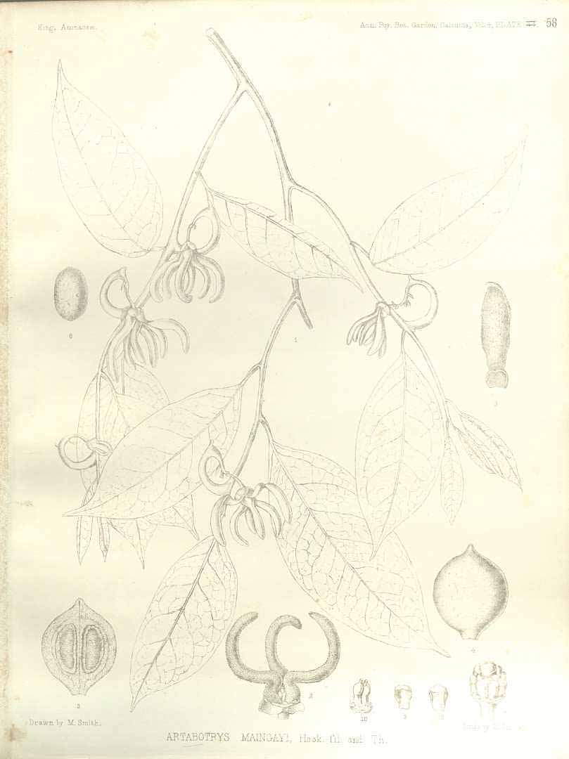 no HD illustration available (m5)