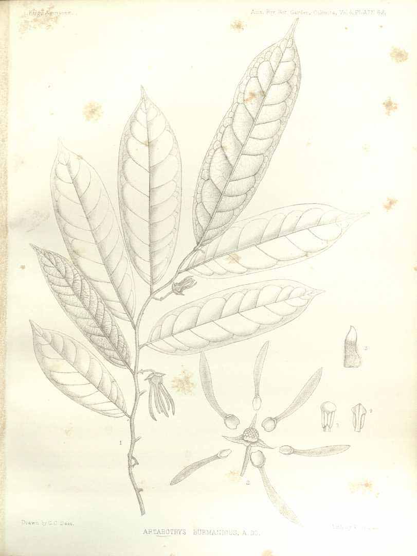 no HD illustration available (m5)
