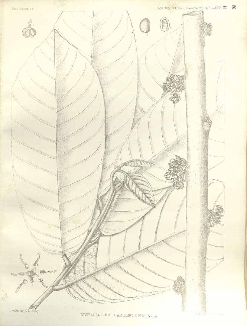 no HD illustration available (m5)