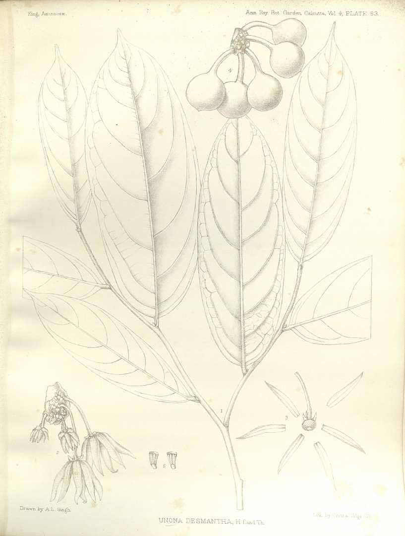 no HD illustration available (m5)