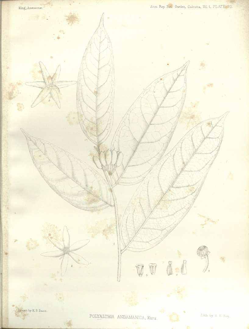 no HD illustration available (m5)
