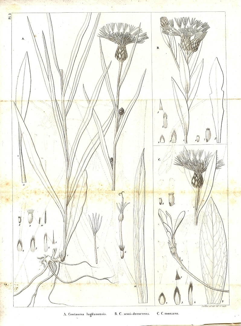 no HD illustration available (m5)