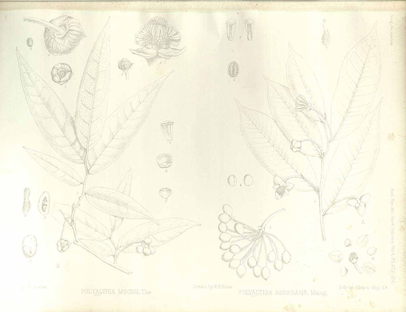no HD illustration available (m5)
