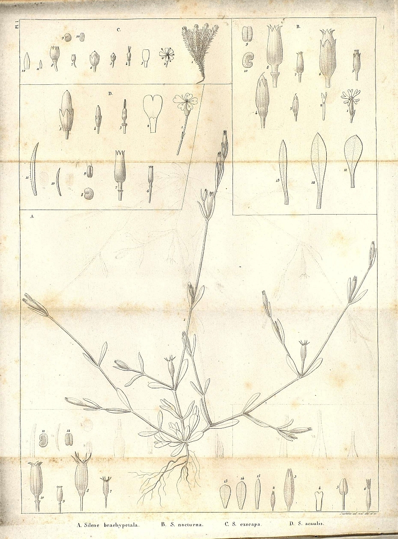 no HD illustration available (m1)