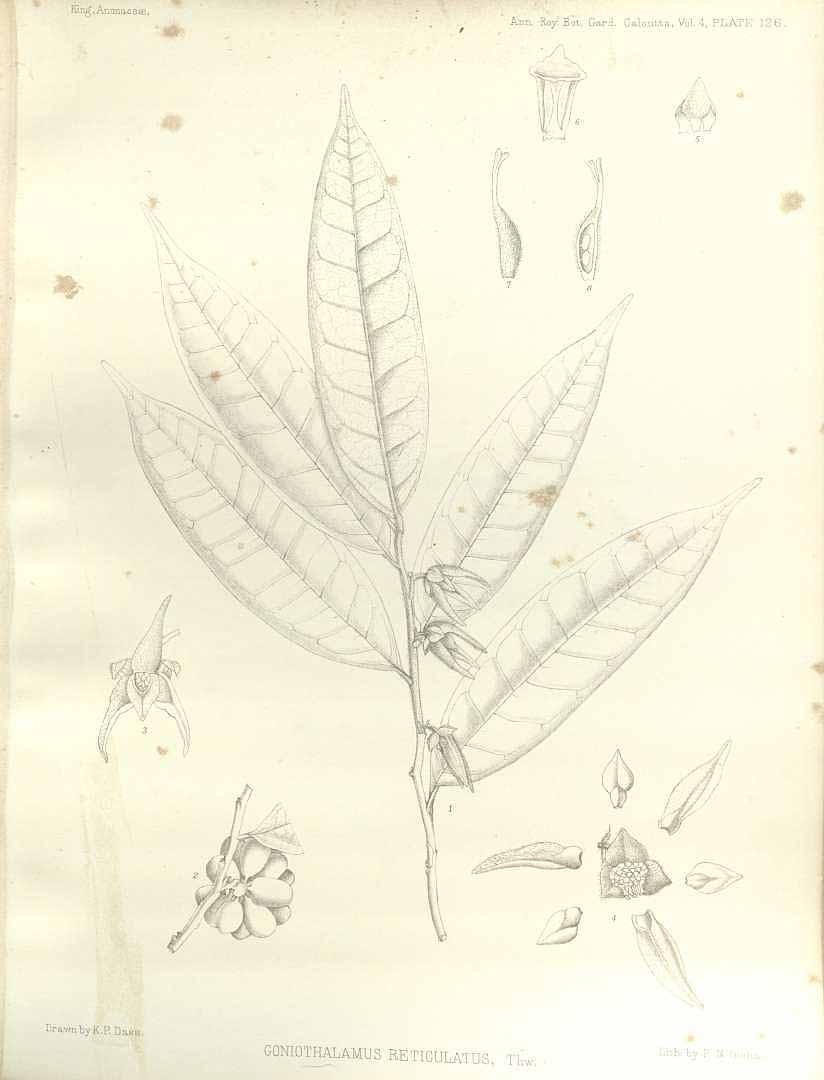no HD illustration available (m5)
