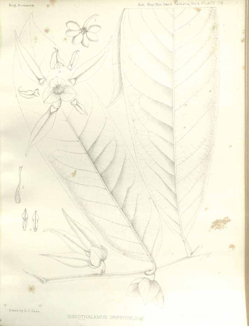 no HD illustration available (m5)