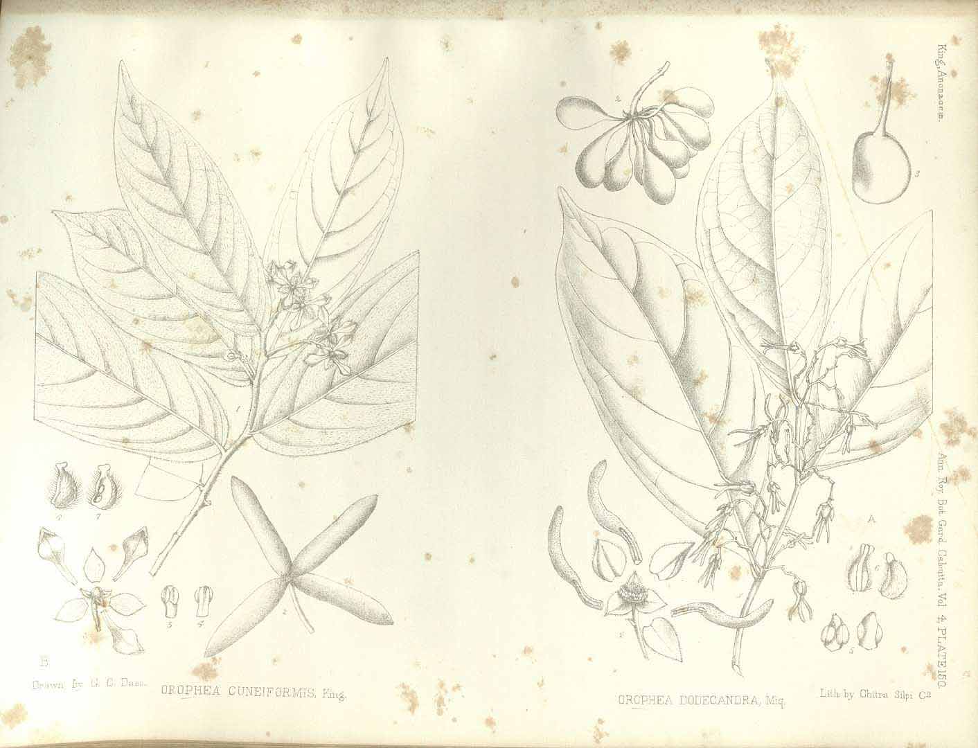 no HD illustration available (m5)
