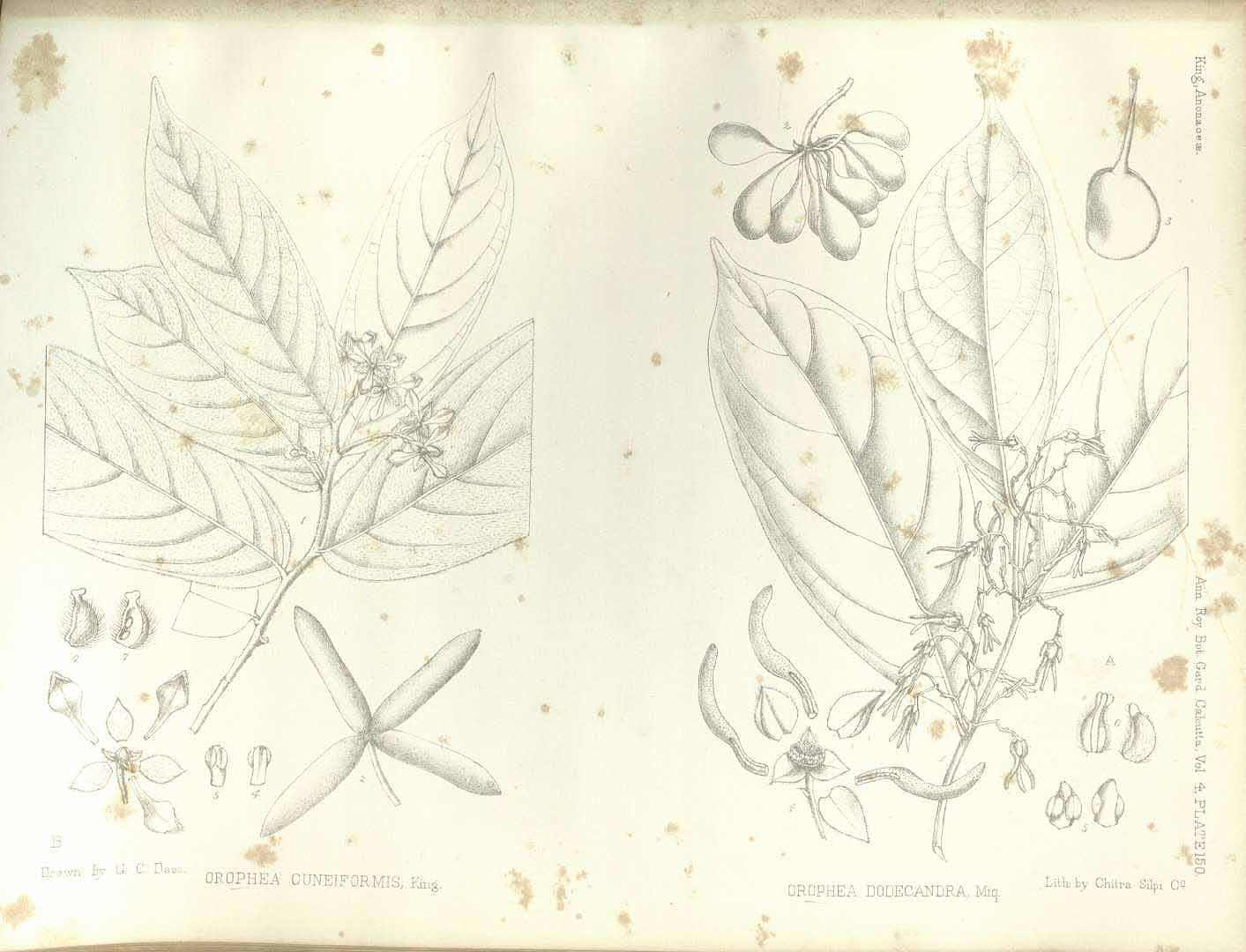 no HD illustration available (m5)