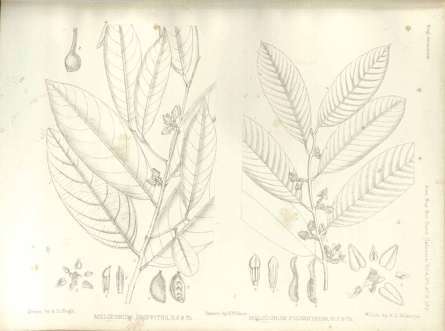 no HD illustration available (m5)