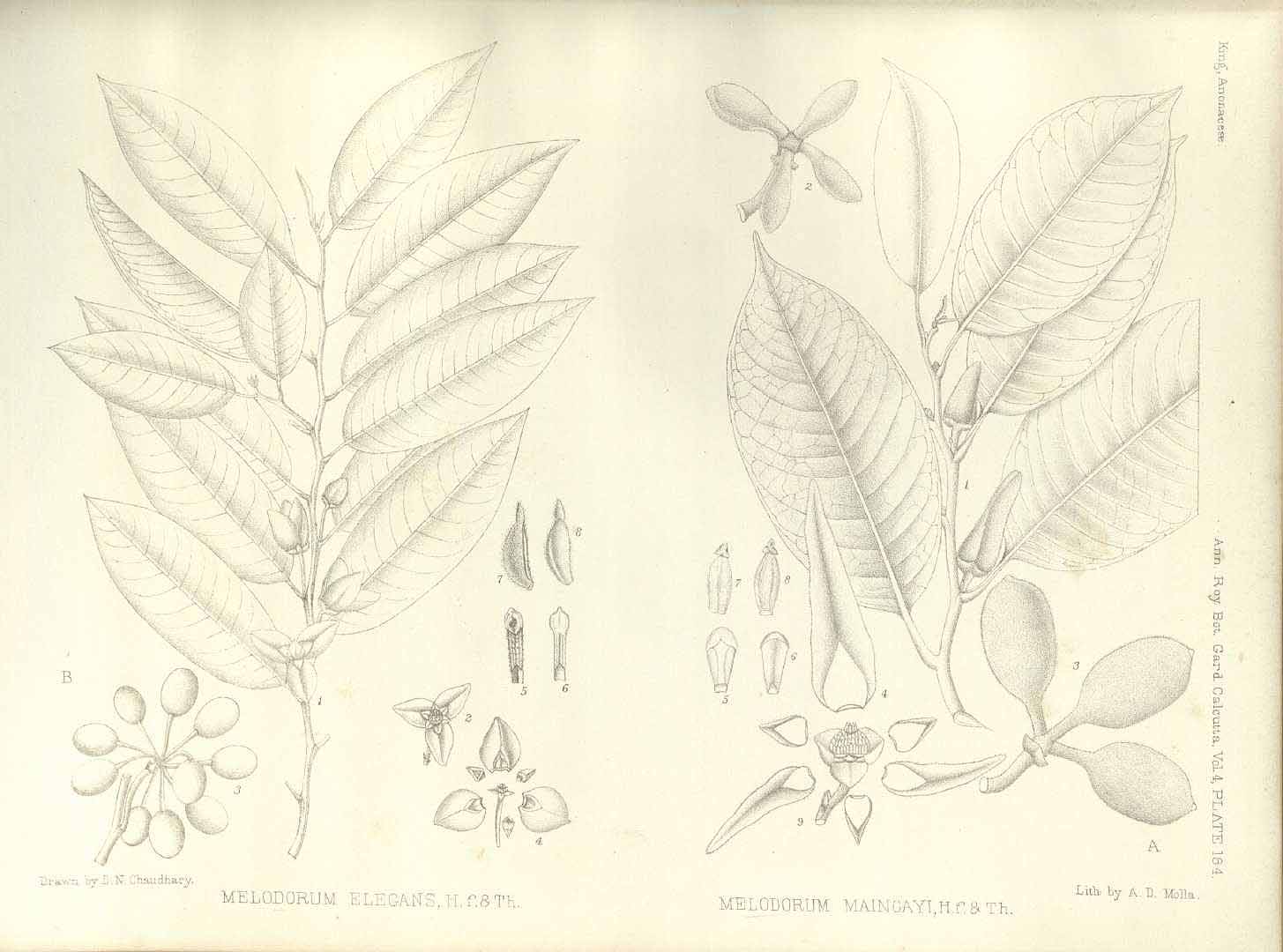 no HD illustration available (m5)