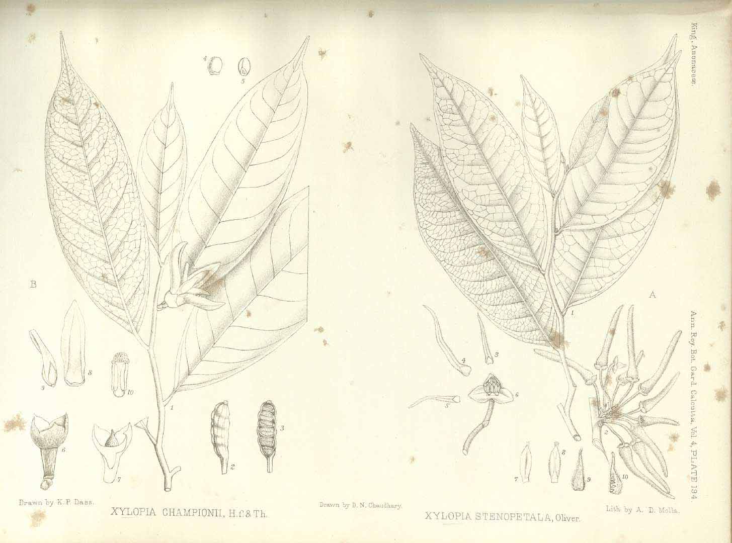 no HD illustration available (m5)