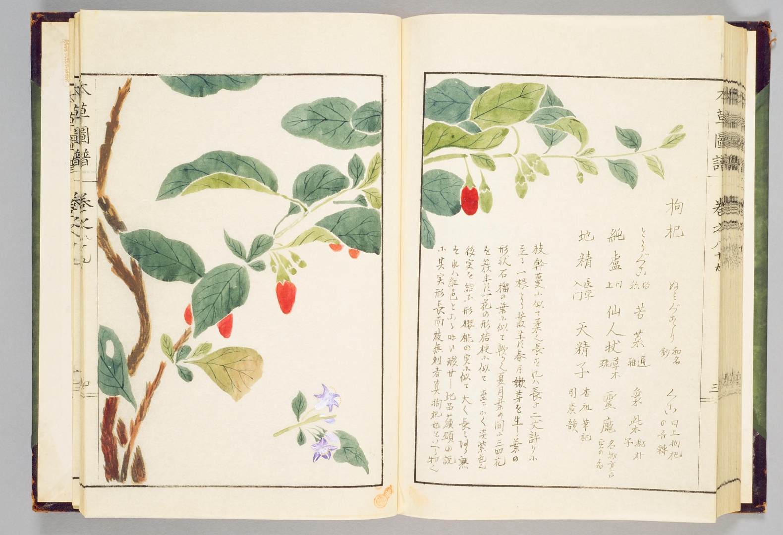 no HD illustration available (m5)