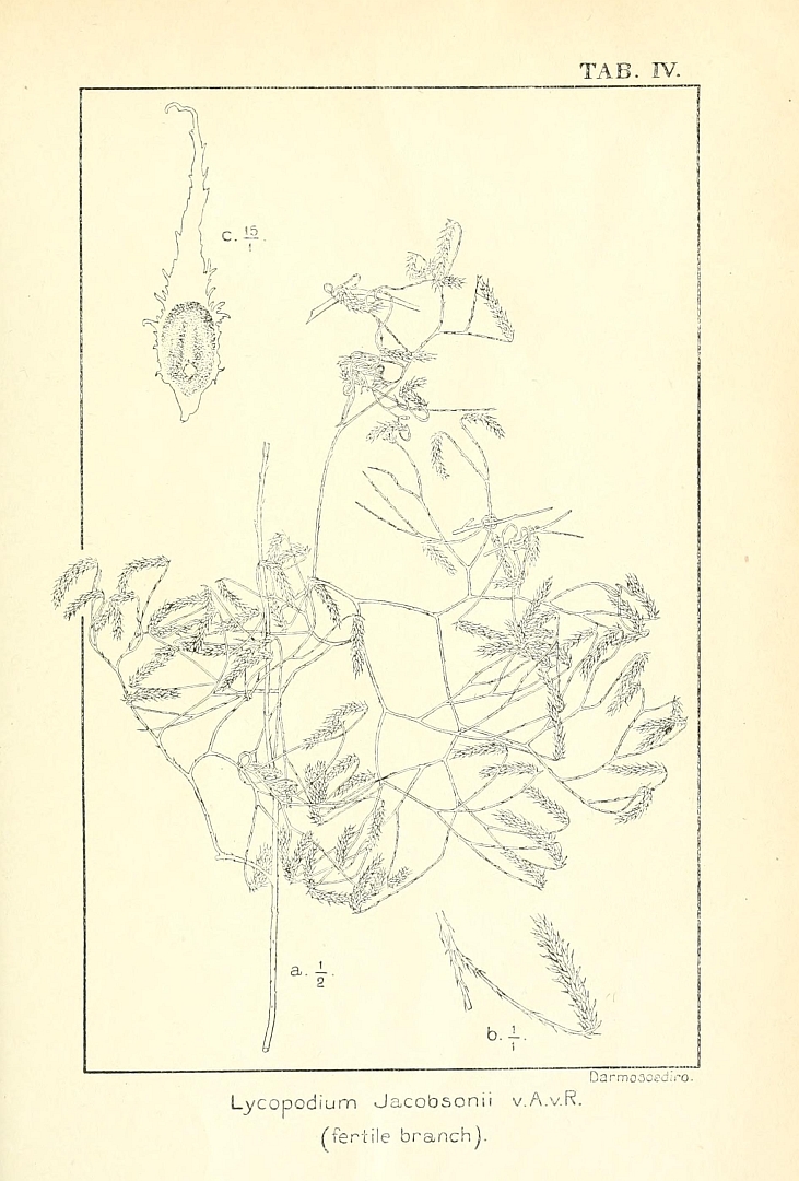 no HD illustration available (m5)
