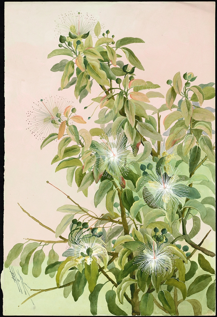 no HD illustration available (m5)