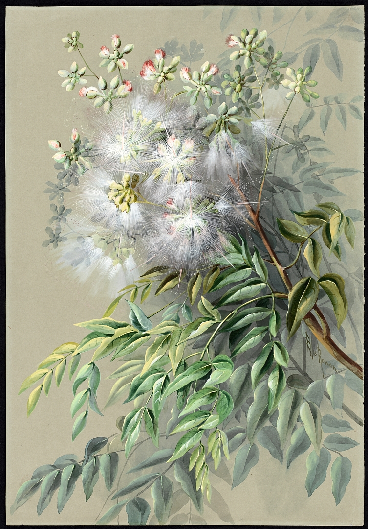 no HD illustration available (m5)