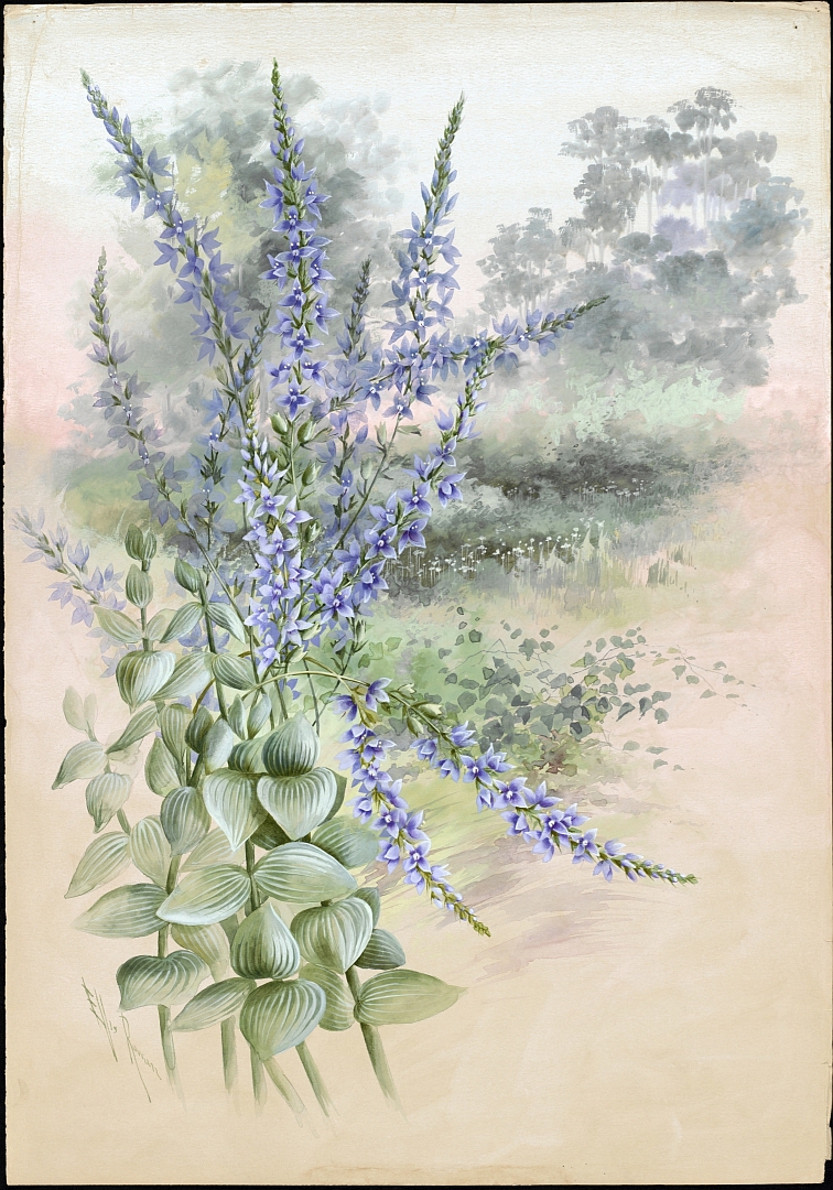 no HD illustration available (m5)