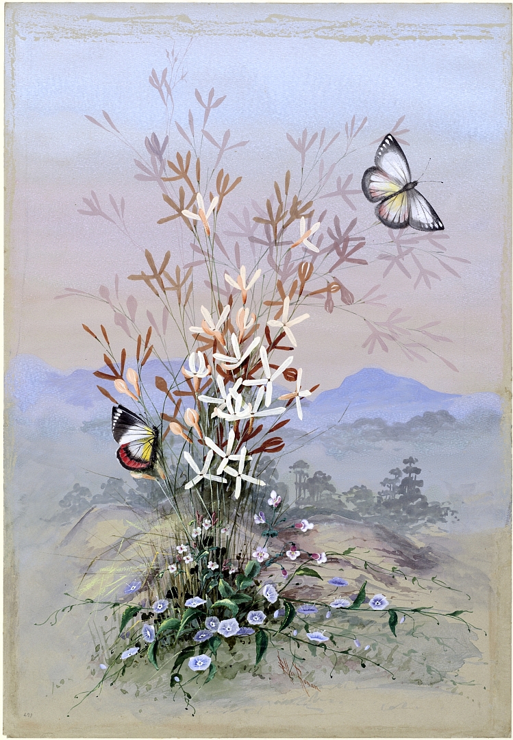 no HD illustration available (m5)