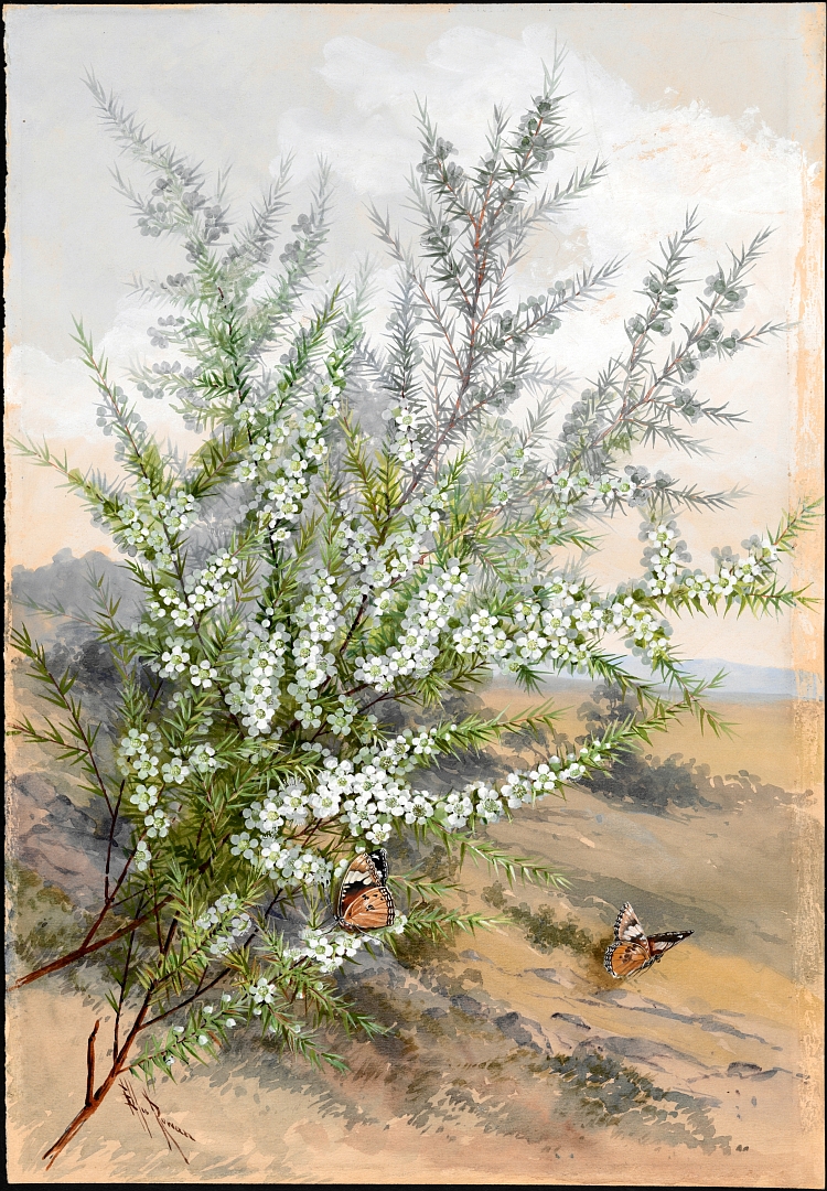no HD illustration available (m5)