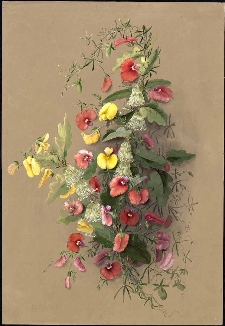 no HD illustration available (m5)