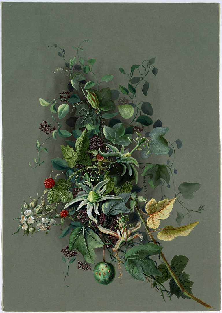 no HD illustration available (m5)