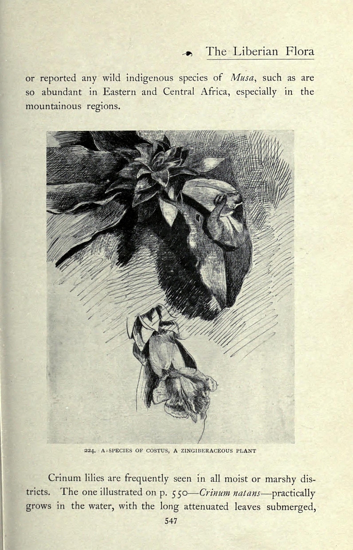 no HD illustration available (m5)