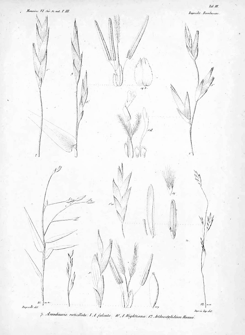 no HD illustration available (m5)
