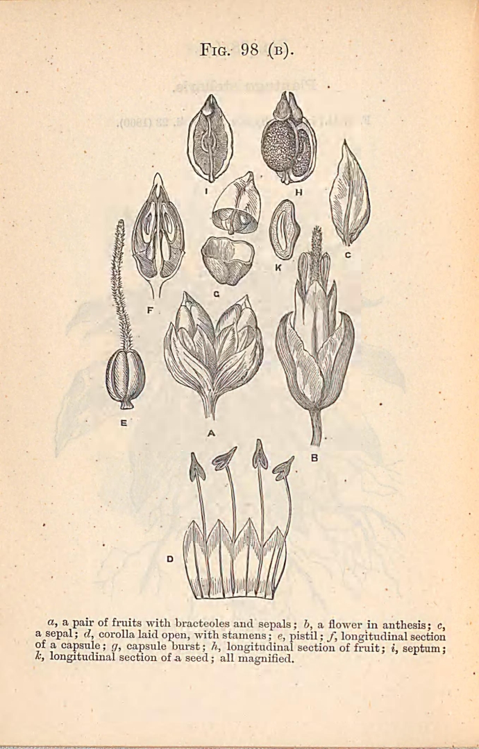 no HD illustration available (m5)