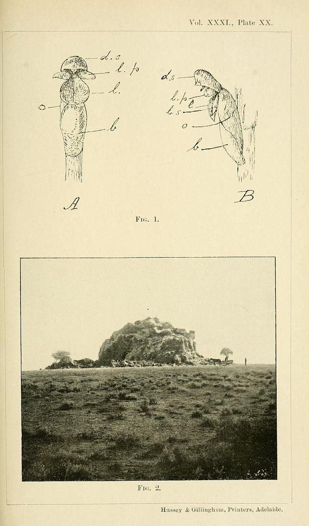 no HD illustration available (m5)