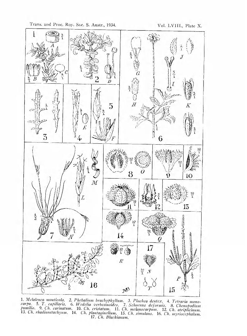 no HD illustration available (m5)