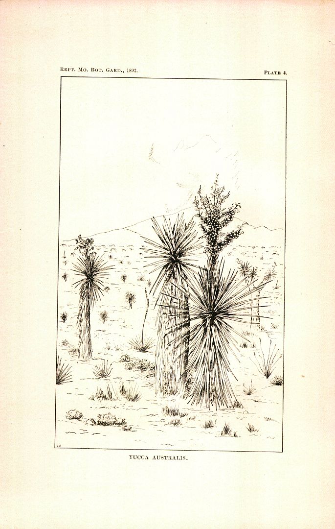 no HD illustration available (m5)