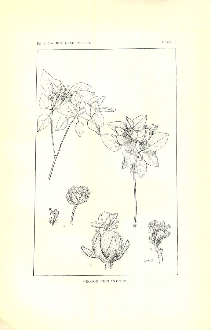 no HD illustration available (m5)