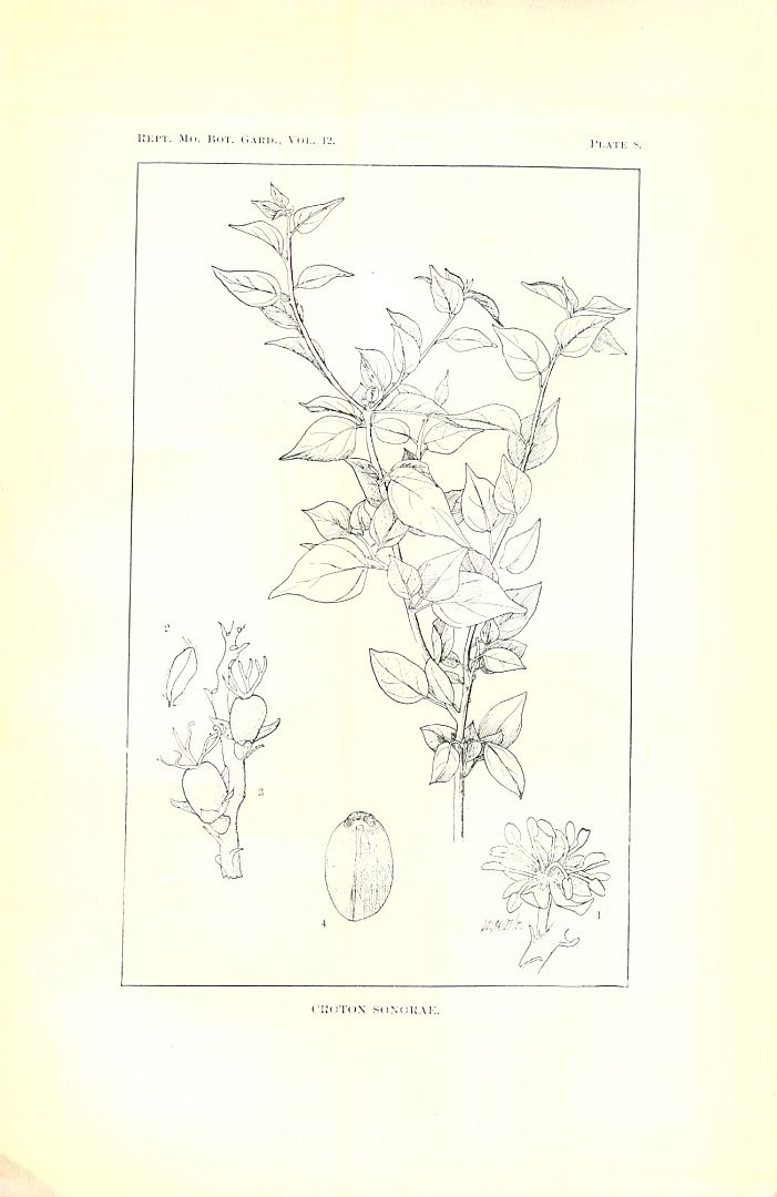 no HD illustration available (m5)
