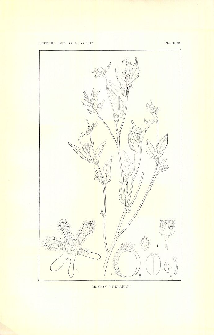 no HD illustration available (m5)