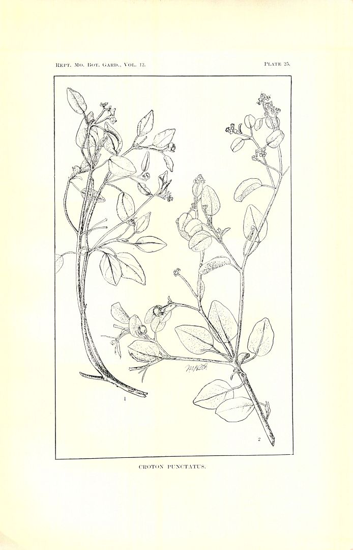no HD illustration available (m5)