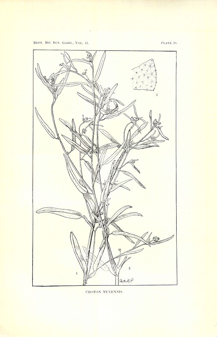 no HD illustration available (m5)